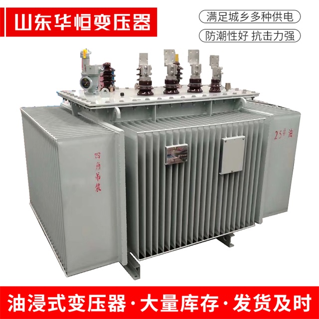 S13-10000/35潼南潼南潼南电力变压器厂家